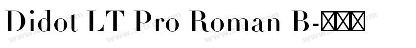 Didot LT Pro Roman B字体转换